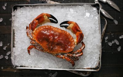 Fiesta de mariscos en La Taberna La Sal